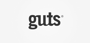 网站攻击软件工具